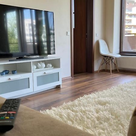Plopilor Sdtudio Apartment Cluj-Napoca Luaran gambar