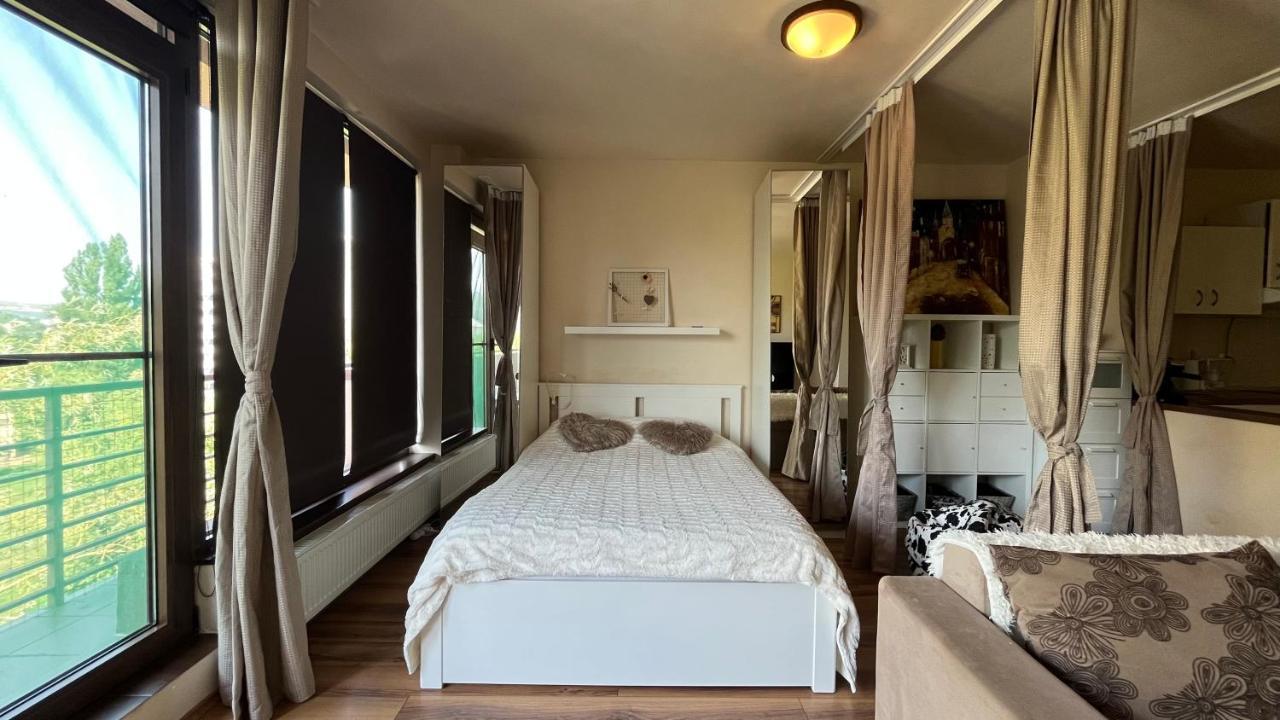 Plopilor Sdtudio Apartment Cluj-Napoca Luaran gambar