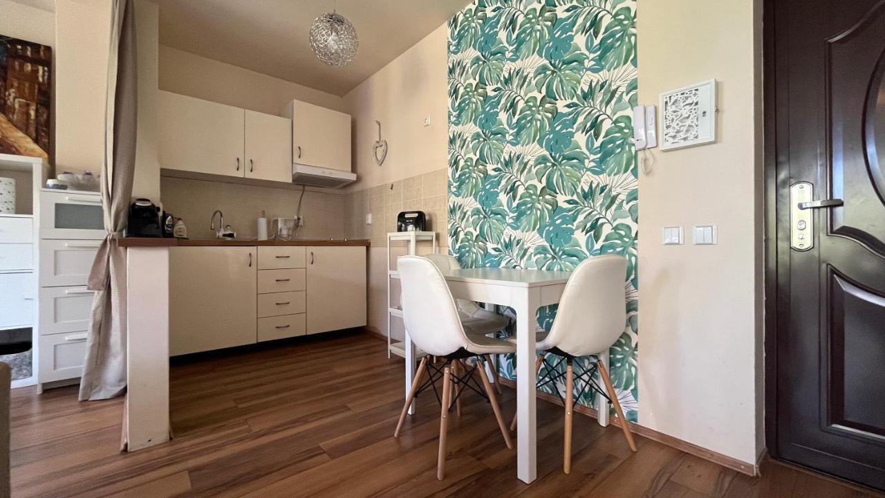 Plopilor Sdtudio Apartment Cluj-Napoca Luaran gambar